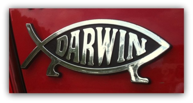 The Darwinian fish Photo by Simon Peter Sutherland