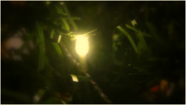 christmas-tree-light-2016-simon-peter-sutherland